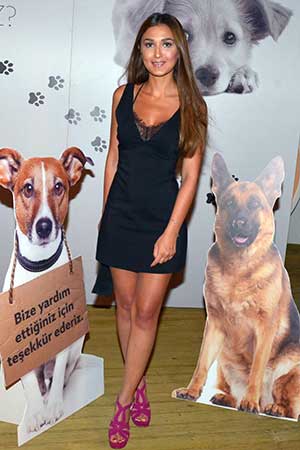 Sokak Hayvanları İçin Beyaz Gece