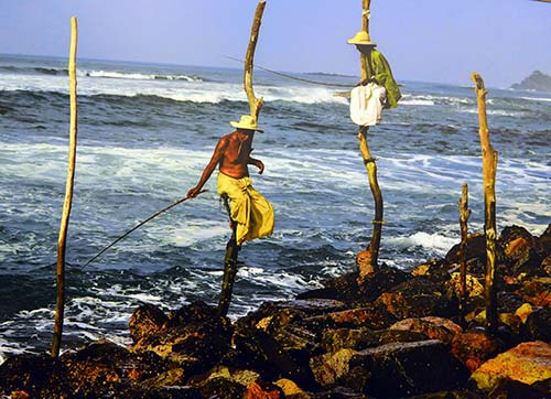 Çukurelin Sri Lanka fotoğrafları Sabancı Kültürde