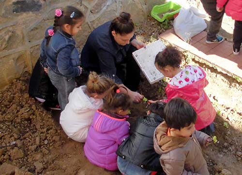 Küçük Şeylerin doğayla bütünleşmesi!..