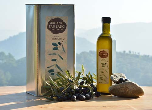 Anadolunun Zeytin Ağaçları Yavaş Zeytinyağı ile Korunacak