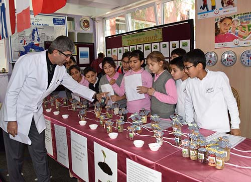 Tohumdan ürüne giden yolculuğu incelediler