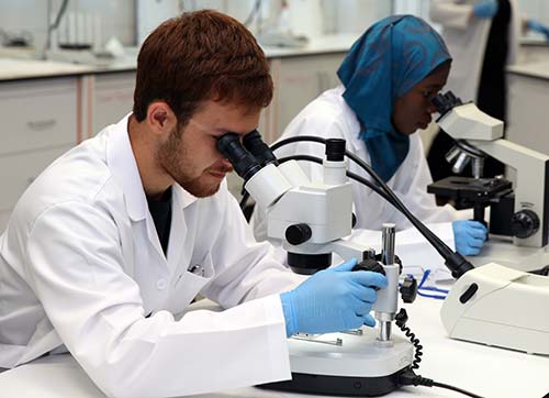 Gediz, bilimin  merkezi oldu