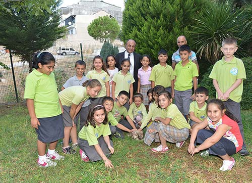 Minik hayvan dostları