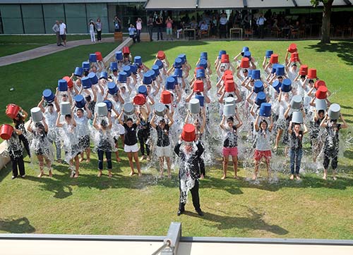  Swissotel Büyük Efes, meydan okudu 
