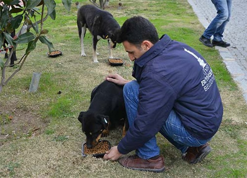 İzmir Büyükşehirde soğuk alarmı