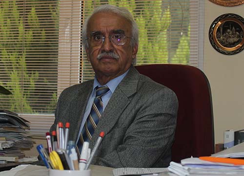 Balık buğulama, haşlama ve  ızgara olarak tüketilmeli