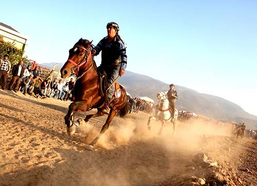 At tutkunları Bornovada buluştu