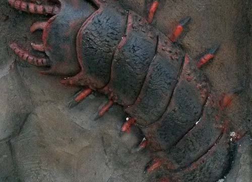 Bornovada 545 milyon yıllık yolculuk başlıyor