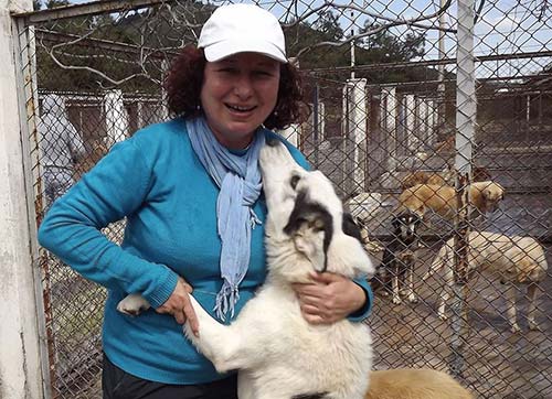  İşin sırrı sevgide