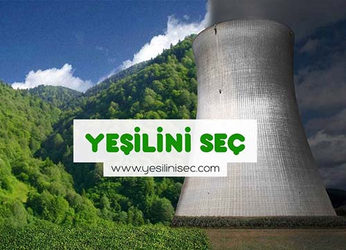 Üniversiteliler  Greenpeace için kampanya tasarladı