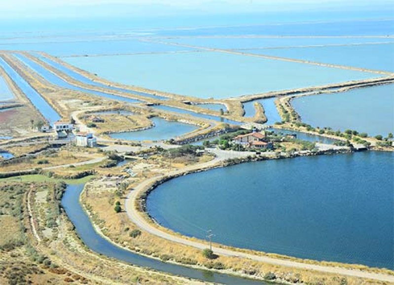 Kuş Cennetine 4 bin ağaç 