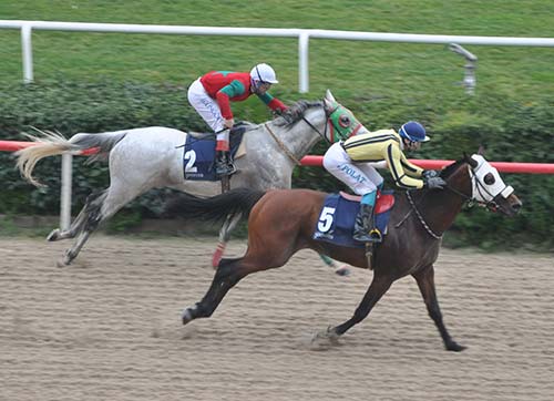 Atlar Özgecan için koştu