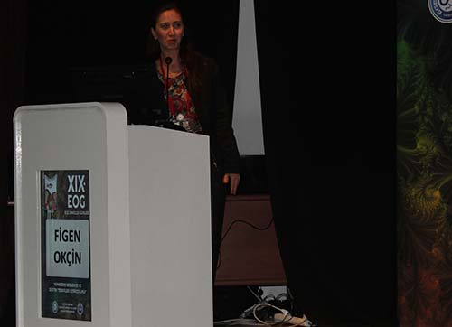 Obezite kanser hastalarında bir avantaj...