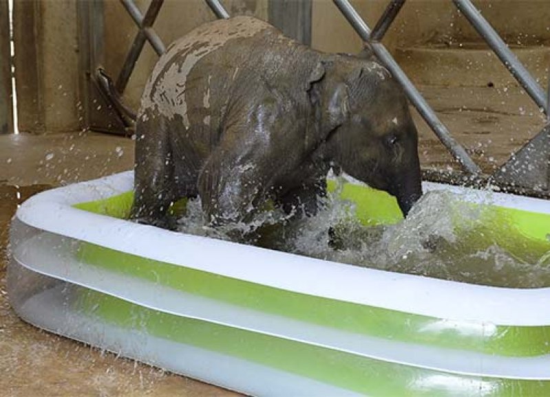 Öncesi naz, sonrası sefa