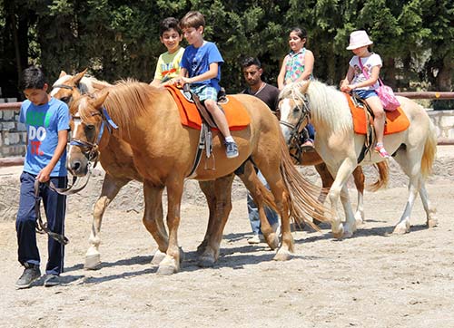 Çocuklar için hem gezi hem eğitim 