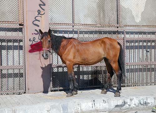 Halk sağlığını hiçe sayanlar yakalandı