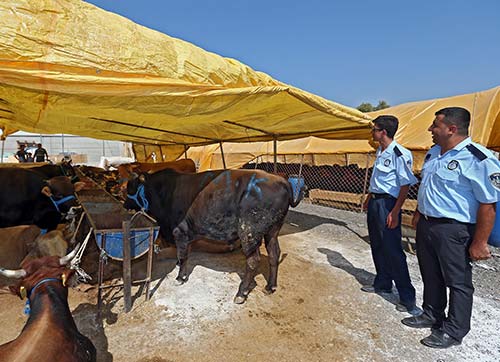 Konak Kurban Bayramına hazır
