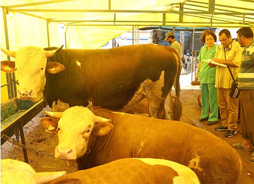 kurban satış alanında modern hizmet