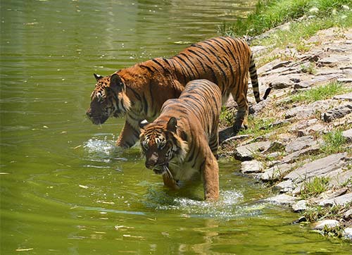 Bayramı evinde geçirecek İzmirliler için TATİL REHBERİ