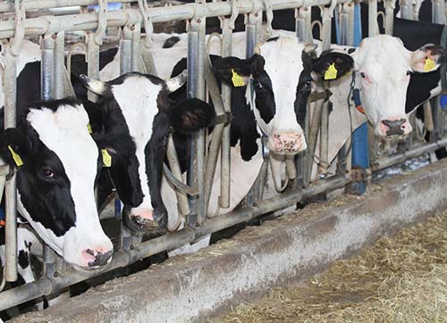 BAYRAM ZEHİR OLMASIN!