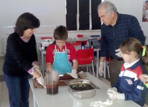 ZEYTİNYAĞI 30 KADAR METABOLİK HASTALIĞI ENGELLİYOR