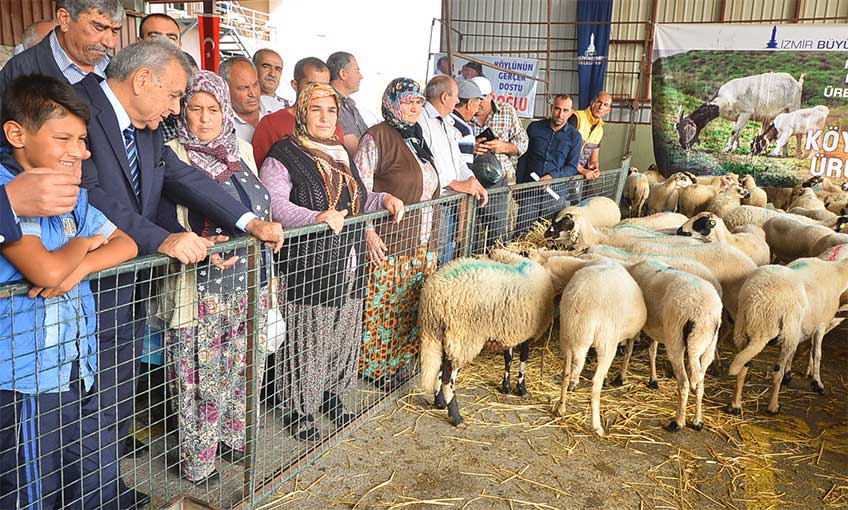 Hedef, lokmayı büyütmek