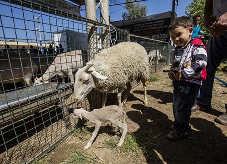 Üreticiye selam, desteğe devam!