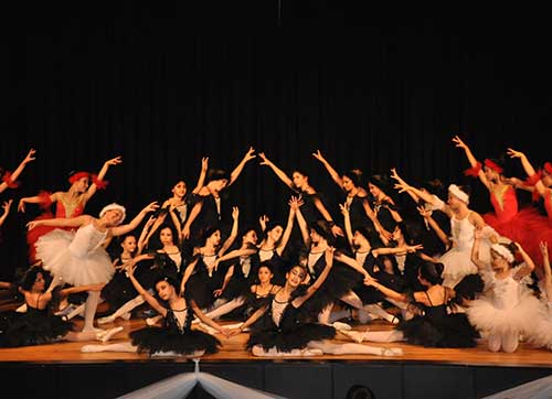 Bir kuğu hikayesi İzmirlilerle buluştu