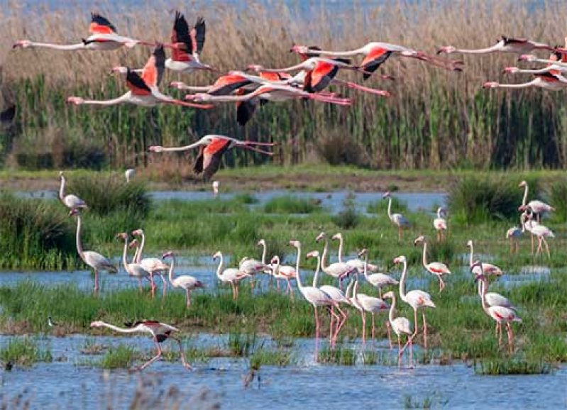 İzmirde Şeker gibi tatil
