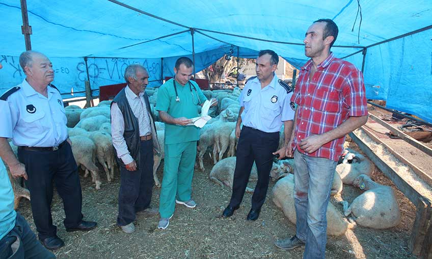 Kurban satış ve kesim kesim yerleri denetleniyor