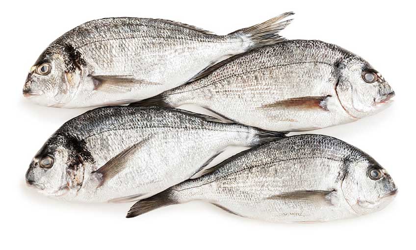 Balık zekayı geliştiriyor, bağışıklığı güçlendiriyor