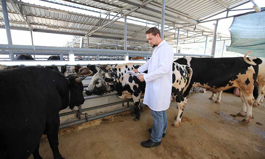 Karşıyaka Kurban Bayramı’na hazır