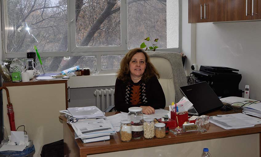 Verimin ve kalitenin sırrı: Sertifikalı Tohumluk