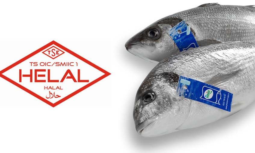 İlk Helal Sertifikası “Pınar Balık”ın…