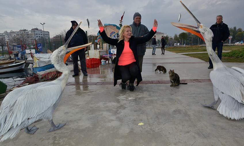  Pelikanları da özlüyor