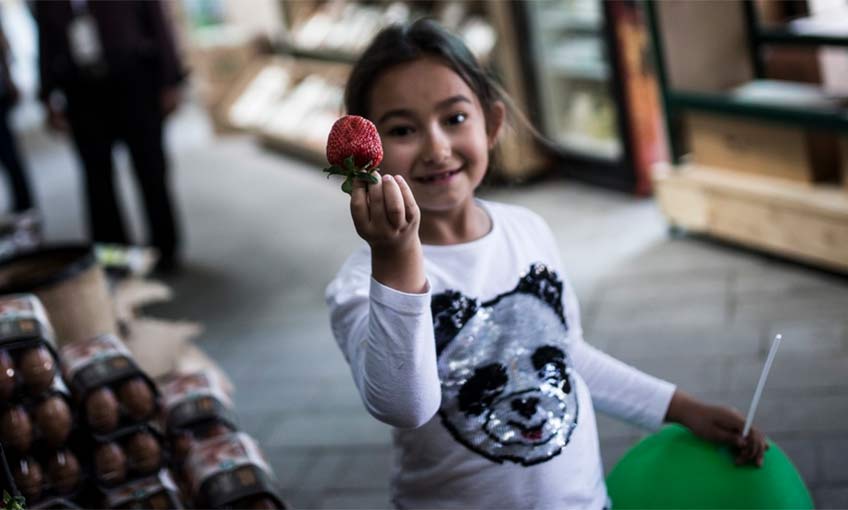 Çare organik ürünler