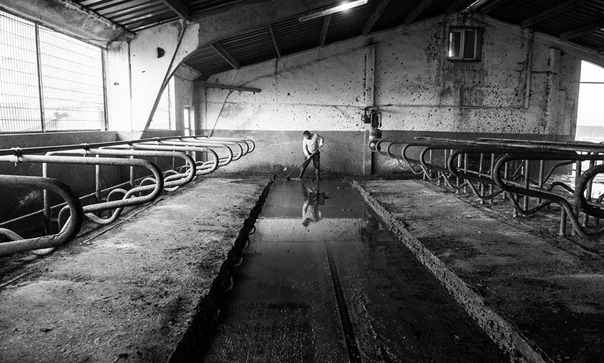 Serginin tüm geliri  TEV İzmir Şubesi’ne