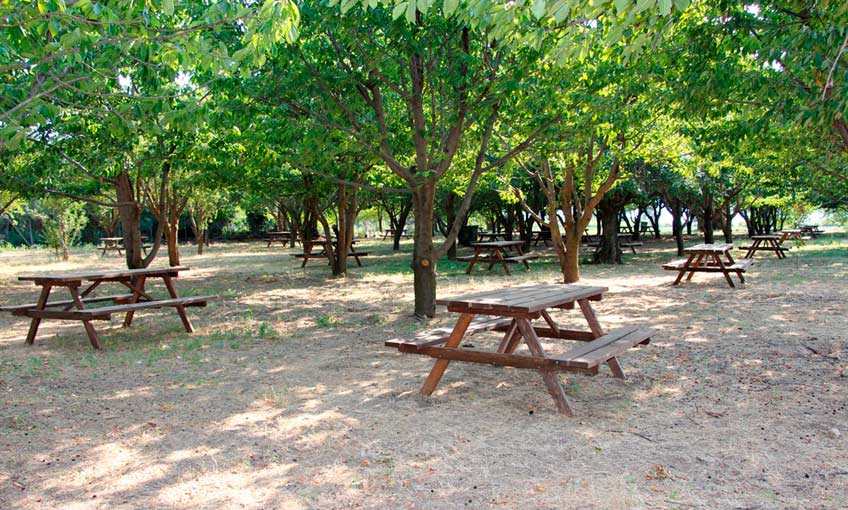 Gölcük’te Yeni Piknik Alanı