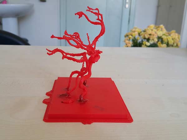 Ege Üniversitesi Tıp Fakültesi Anatomi Bölümü “3D Printing ile Modelleme” Yapıyor