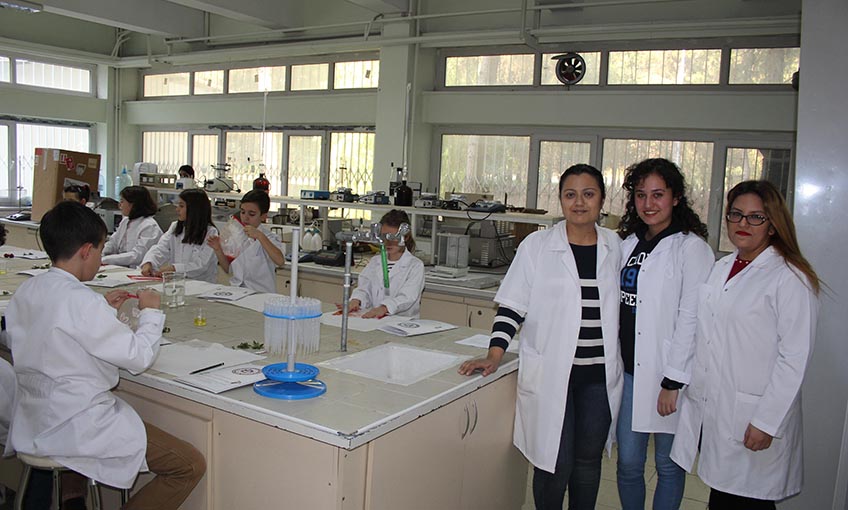 “Çilekten DNA Eldesi”