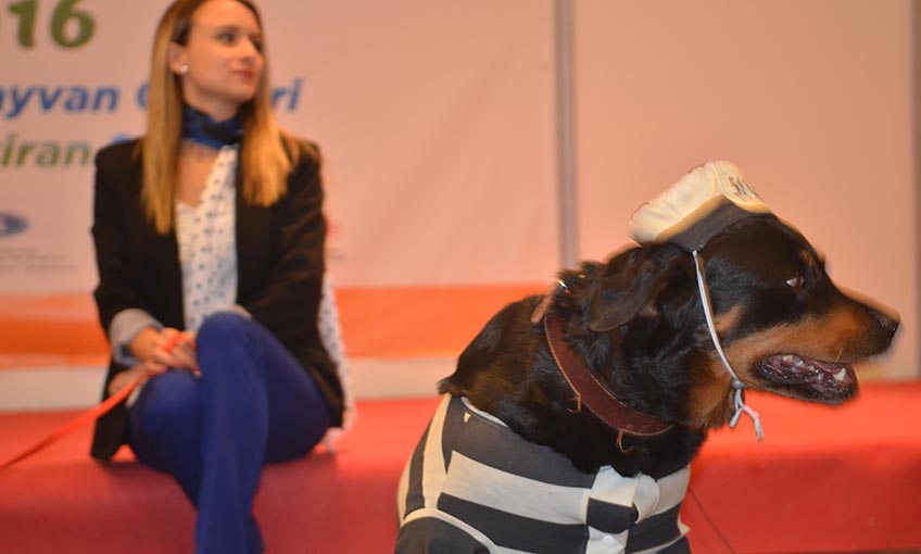 Pet İzmir 2018 Açıldı