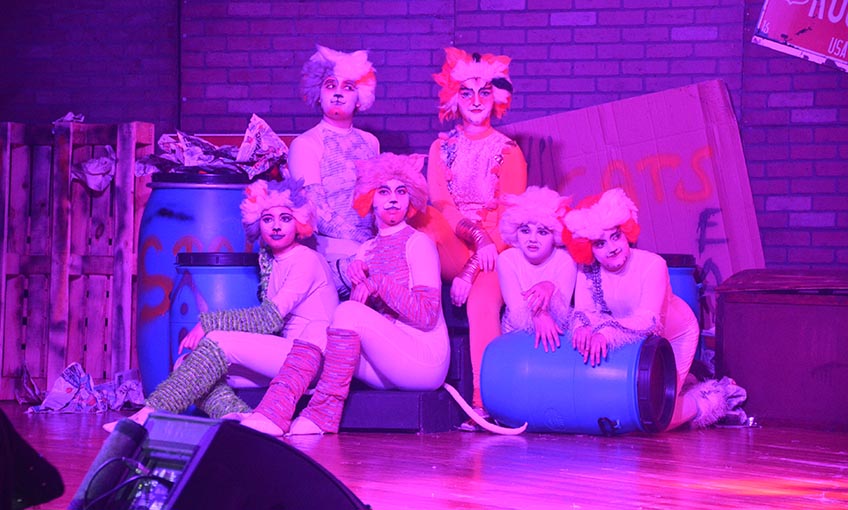 İtk’lı Öğrencilerden “Cats” Müzikal Rüzgarı