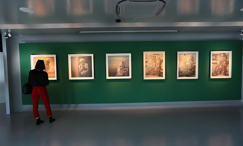 Ivan’a, Rekor Ziyaretçi Sayısı                                         