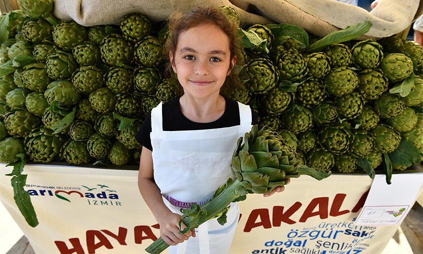 Enginar şöleni başladı  