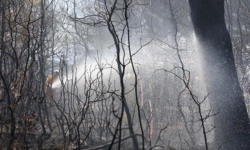 Başkan Kılıç’tan uyarı: Ormanlarımızı yangınlarla heba etmeyelim