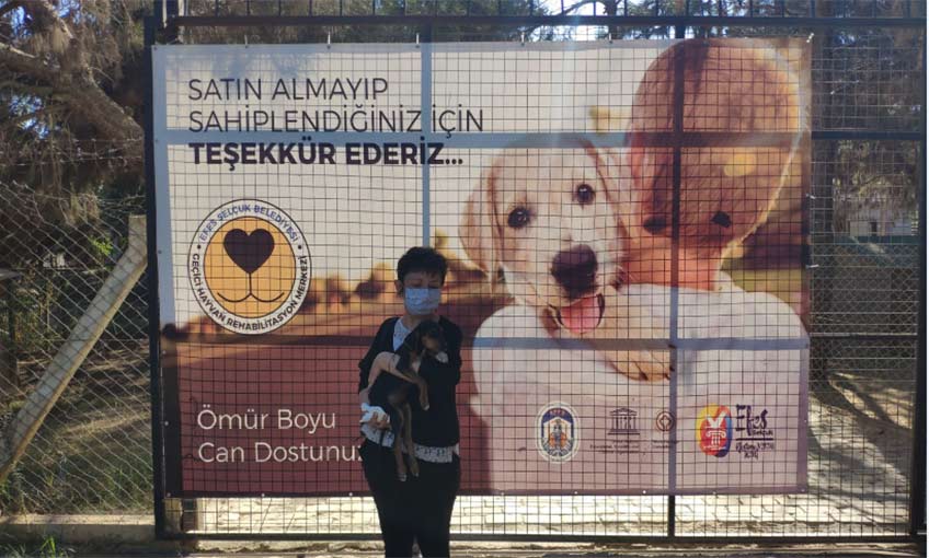 Sahiplenenler çoğalıyor