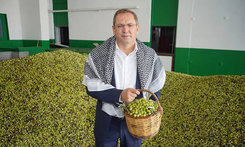 Belediye üretti: 5 ton zeytinyağı