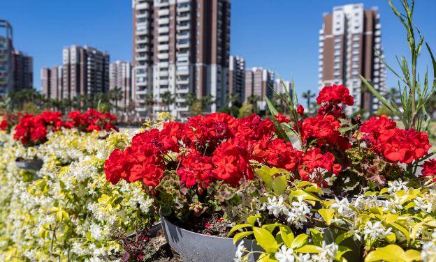 İzmir’den iç açıcı görüntüler