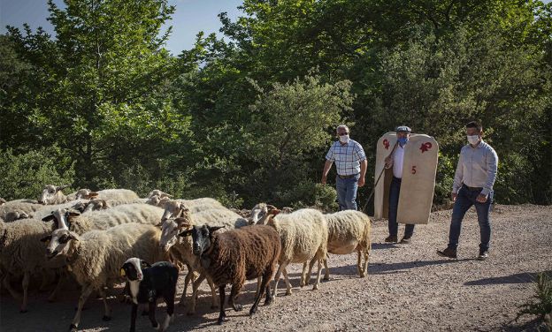 Mera varsa hayat vardır