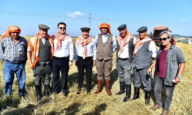 Elleriyle serptiği karakılçık buğdayının hasadını yaptı